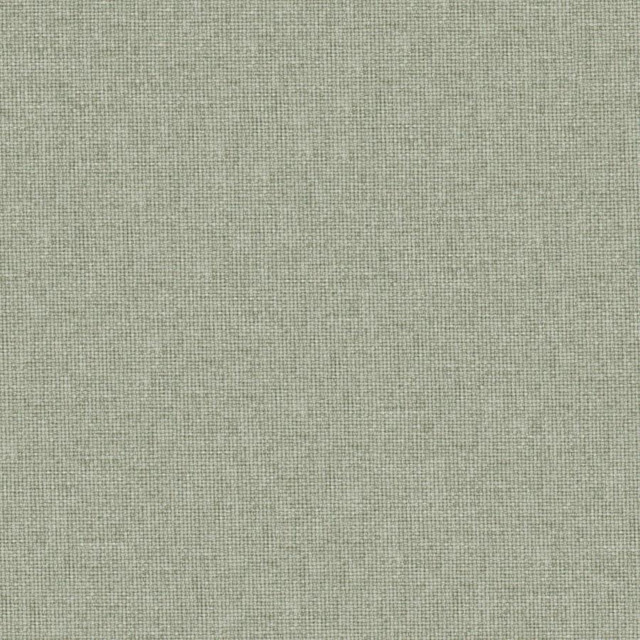 Valentina # 113 Seagrass by Maxwell Designer Fabric Wide Width Basics Iii 100% RECYCLED POLYESTER INDIA 118" - Swanky Fabrics -