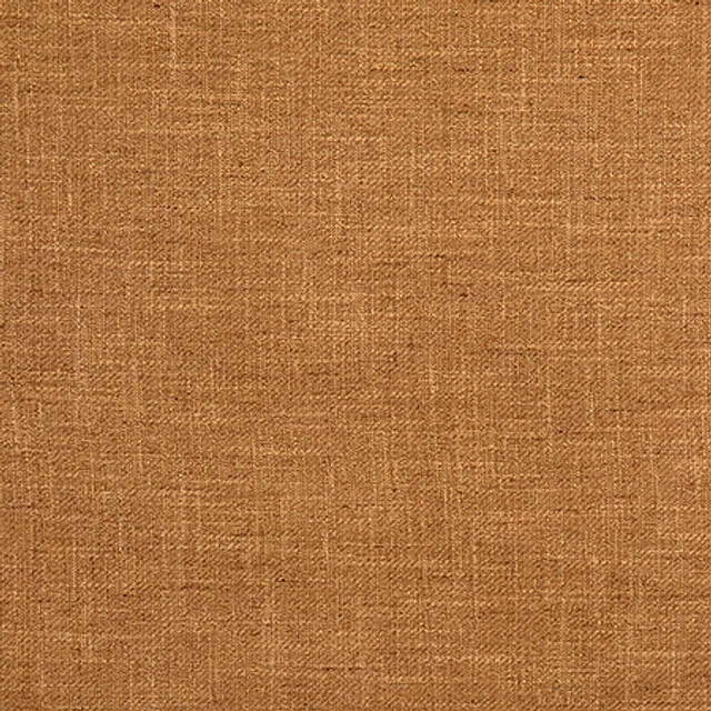 Astounding Golden by Carole Designer Fabric Best Dressed 53% Cotton, 47% Polyester 15,000 Wyzenbeek Double Rubs None 54" - Swanky Fabrics -
