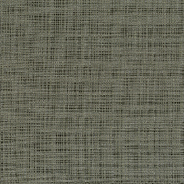 Kravet Couture 3645-21 by Kravet Couture Designer Fabric