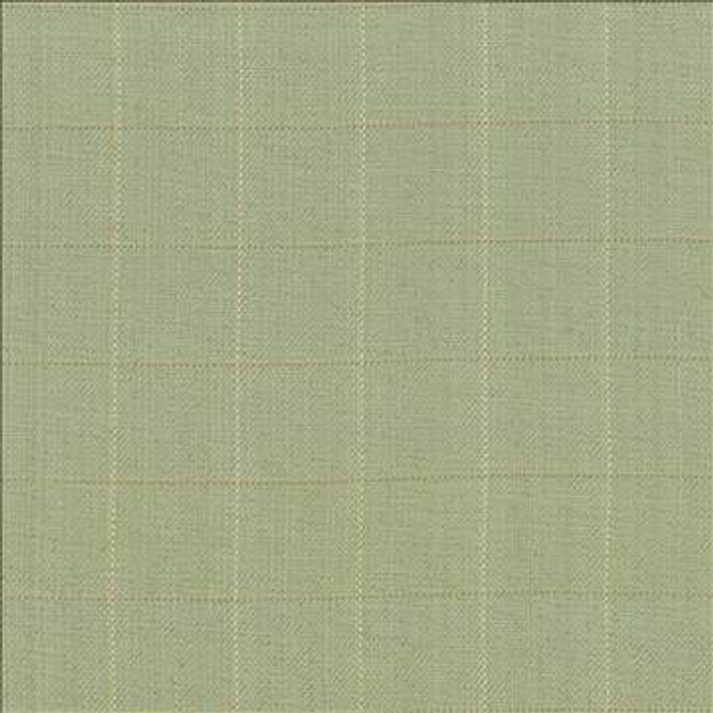 Keheley Thyme by Kasmir Designer Fabric 1442 100% Cotton INDIA 12,000 Wyzenbeek Double Rubs H: 3 inches, V: 3 inches 53 - 54 - Swanky Fabrics - Kasmir