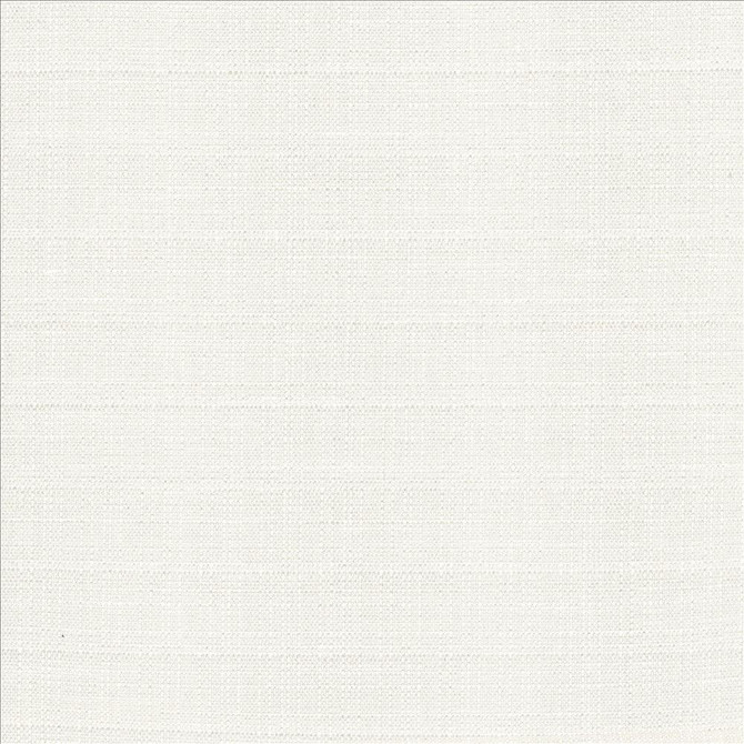 Abalone Ivory by Kasmir Designer Fabric See sample 86% Polyester
14% Viscose
 INDIA 98,000 Martindale Cycles </p><p>Repeat: Horizontal: N/A and Vertical: N/A 55 - Swanky Fabrics -