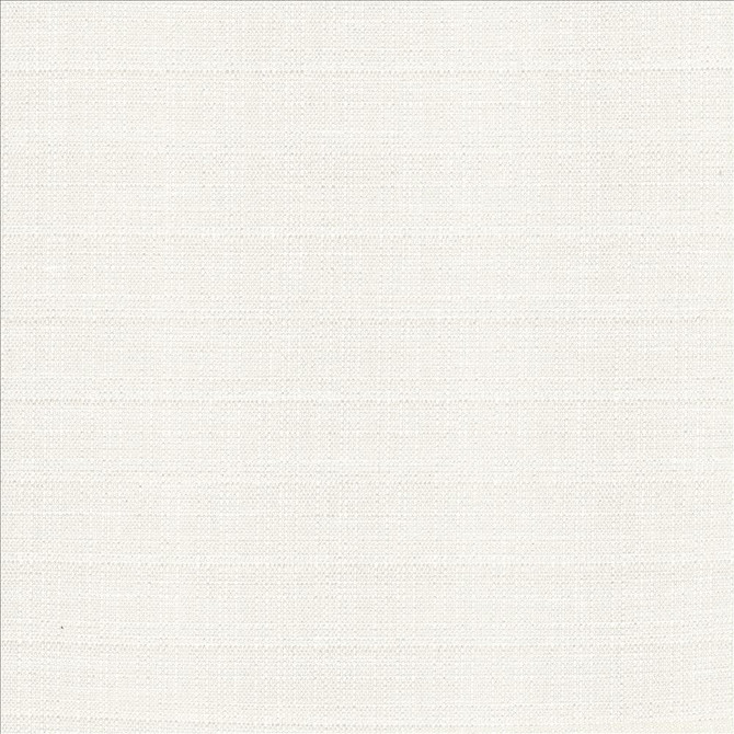 Abalone Ivory by Kasmir Designer Fabric 1449 86% Polyester
14% Viscose
 INDIA 98,000 Martindale Cycles </p><p>Repeat: Horizontal: N/A and Vertical: N/A 55 - Swanky Fabrics -