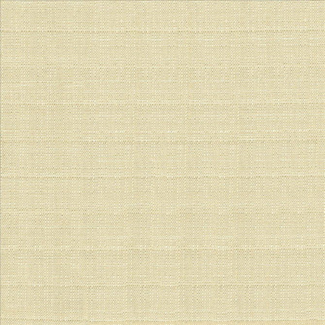 Abalone Oyster by Kasmir Designer Fabric 1449 86% Polyester 14% Viscose INDIA 98,000 Martindale Cycles Horizontal: 0 Inches and Vertical: 0 Inches 55 - Swanky Fabrics -