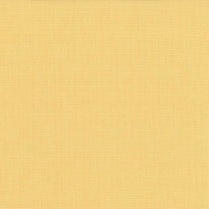 Auberge Champagne by Kasmir Designer Fabric See sample 100% Polyester
 TAIWAN 100,000 Wyzenbeek Double Rubs </p><p>Repeat: Horizontal: N/A and Vertical: N/A 59 - Swanky Fabrics -