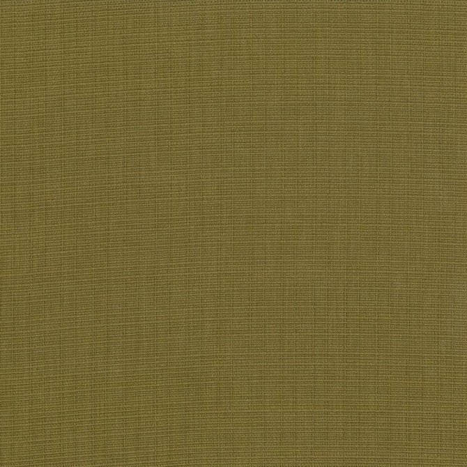 Auberge Olive  by Kasmir Designer Fabric 5055 100% Polyester
 TAIWAN 100,000 Wyzenbeek Double Rubs Horizontal: N/A and Vertical: N/A 59  - Swanky Fabrics -