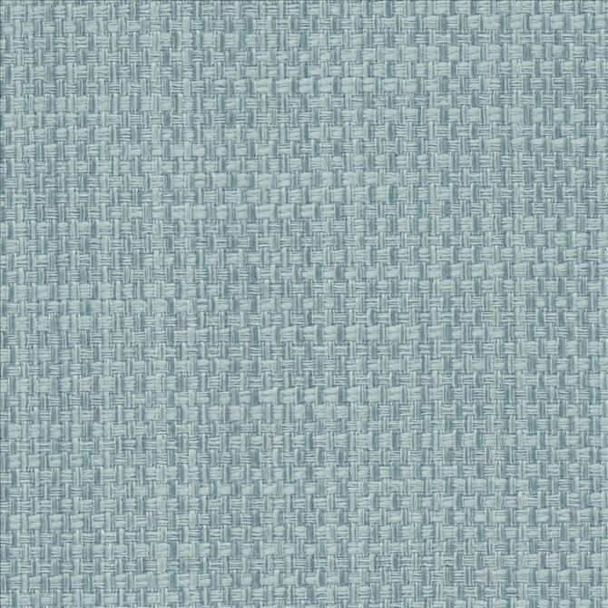 Avino Aquamarine by Kasmir Designer Fabric 5098 64% Cotton
36% Polyester
 CHINA </p><p>Repeat: Horizontal: N/A and Vertical: N/A 55 - Swanky Fabrics -
