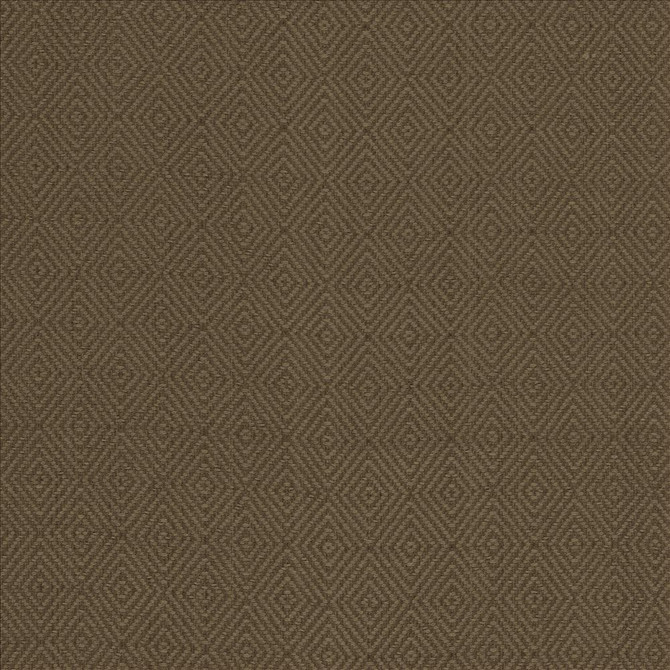 Balducci Ranger by Kasmir Designer Fabric 5101 100% Cotton INDIA 12,000 Wyzenbeek Double Rubs Horizontal: 1 2/8 inches and Vertical: 1 4/8 inches 54 - 55 - Swanky Fabrics -