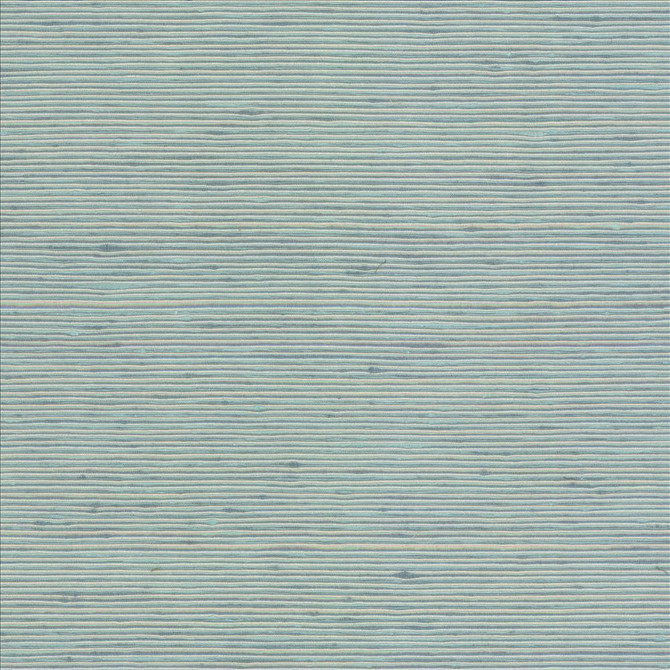 Bharat Lagoon by Kasmir Designer Fabric 5098 100% Polyester INDIA 20,000 Martindale Cycles Horizontal: 0 Inches and Vertical: 0 Inches 53 - 54 - Swanky Fabrics -