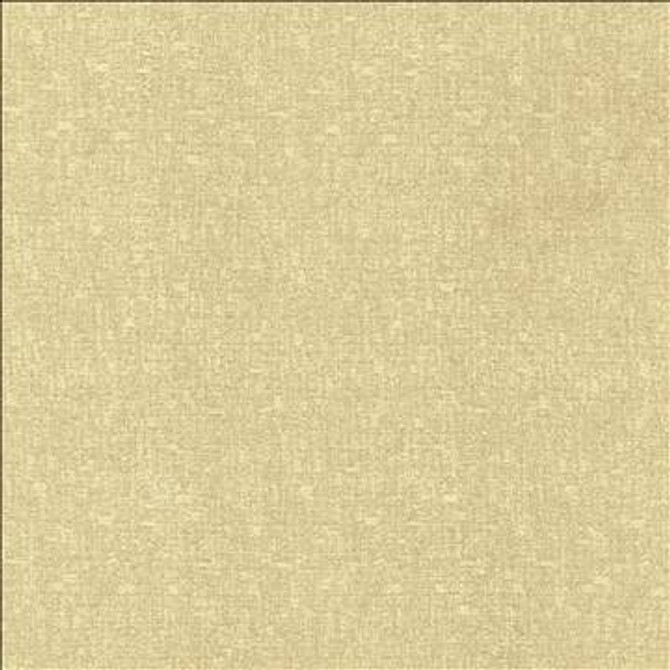 Blake Conch by Kasmir Designer Fabric