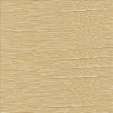 Boxwood Chamois by Kasmir Designer Fabric 5002 55% Cotton 45% Polyester TAIWAN 30,000 Wyzenbeek Double Rubs H: N/A, V: N/A 54 - 55 - Swanky Fabrics - Kasmir