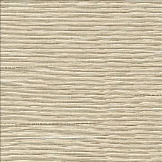 Boxwood Oyster by Kasmir Designer Fabric 1319 55% Cotton 45% Polyester TAIWAN 30,000 Wyzenbeek Double Rubs H: N/A, V: N/A 54 - 55 - Swanky Fabrics - Kasmir