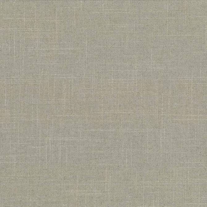 Brigadoon Pebble by Kasmir Designer Fabric See sample 55% Linen
45% Rayon
 CHINA 12,000 Wyzenbeek Double Rubs </p><p>Repeat: Horizontal: N/A and Vertical: N/A 54 - Swanky Fabrics -