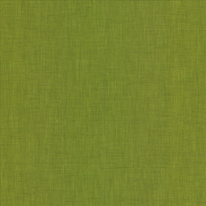 Brussels Grass  by Kasmir Designer Fabric 5117 83% Polyester
17% Cotton
 INDIA 10,000 Martindale Cycles Horizontal: N/A and Vertical: N/A 54  - Swanky Fabrics -