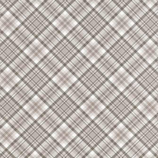 Campagne Plaid Natural by Kasmir Designer Fabric 5062 55% Cotton
45% Polyester
 SPAIN </p><p>Repeat: Horizontal: 12 4/8 inches and Vertical: 12 4/8 inches 54 - 56 - Swanky Fabrics -