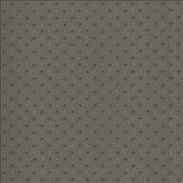 Chiseled Dove by Kasmir Designer Fabric 5119 62% Polyester 38% Cotton INDIA 30,000 Wyzenbeek Double Rubs H: 1 2/8 inches, V: 1 inches 54 - Swanky Fabrics - Kasmir