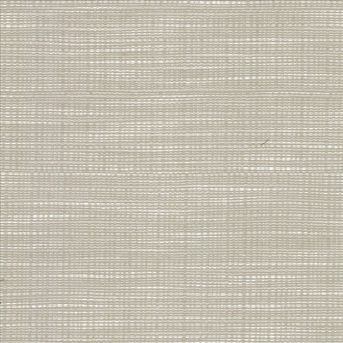 Ciro Elephant by Kasmir Designer Fabric 5100 56% Rayon
44% Polyester
 CHINA </p><p>Repeat: Horizontal: N/A and Vertical: N/A 55 - Swanky Fabrics -