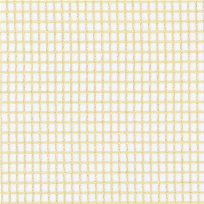 Concise Sand by Kasmir Designer Fabric 5076 100% Polyester
 TURKEY </p><p>Repeat: Horizontal: 2/8 inches and Vertical: 2/8 inches 118 - Swanky Fabrics -