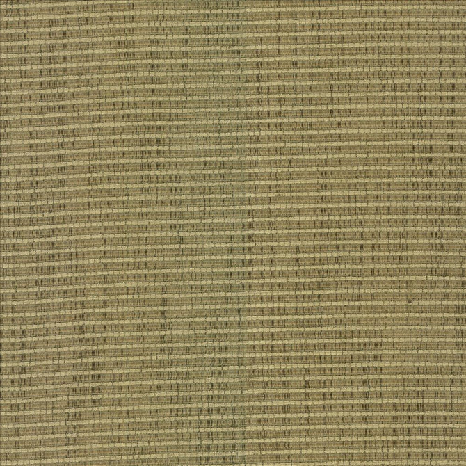 Contadina Kiwi by Kasmir Designer Fabric 5099 100% Polyester
 CHINA 24,000 Wyzenbeek Double Rubs </p><p>Repeat: Horizontal: N/A and Vertical: 2/8 inches 54 - Swanky Fabrics -