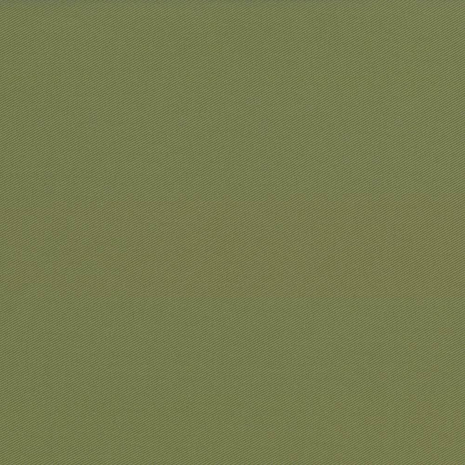 Docksider Basil by Kasmir Designer Fabric 5057 100% Cotton
 USA </p><p>Repeat: Horizontal: N/A and Vertical: N/A 57 - 58 - Swanky Fabrics -