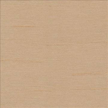 Firenza Putty by Kasmir Designer Fabric 1246 100% Polyester INDIA 9,000 Wyzenbeek Double Rubs H: N/A, V: N/A 54 - 55 - Swanky Fabrics - Kasmir