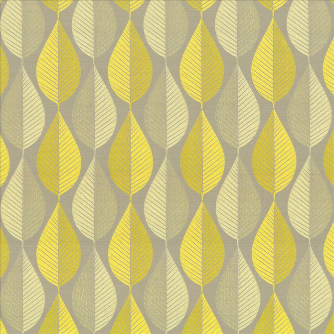 Foliage Tour Citrine  by Kasmir Designer Fabric 1434 59% Polyester
41% Rayon
 INDIA 9,000 Wyzenbeek Double Rubs Horizontal: 7 inches and Vertical: 17 4/8 inches 57  - Swanky Fabrics -