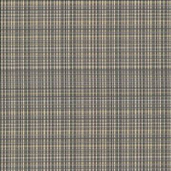 Formosa Sandstone by Kasmir Designer Fabric 5067 55% Cotton 45% Polyester TAIWAN 15,000 Wyzenbeek Double Rubs H: 6 6/8 inches, V: 2 7/8 inches 55 - Swanky Fabrics - Kasmir