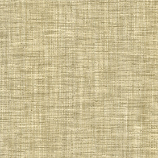 Foundation Dust by Kasmir Designer Fabric 5120 64% Polyester
18% Cotton
9% Linen
9% Rayon
 INDIA 30,000 Wyzenbeek Double Rubs </p><p>Repeat: Horizontal: N/A and Vertical: N/A 53 - Swanky Fabrics -