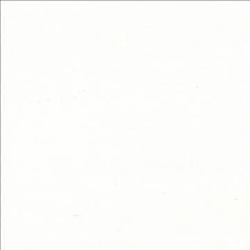 Gainsford Pearl by Kasmir Designer Fabric 5060 75% Polyester 25% Viscose INDIA Not Tested H: N/A, V: N/A 54 - Swanky Fabrics - Kasmir