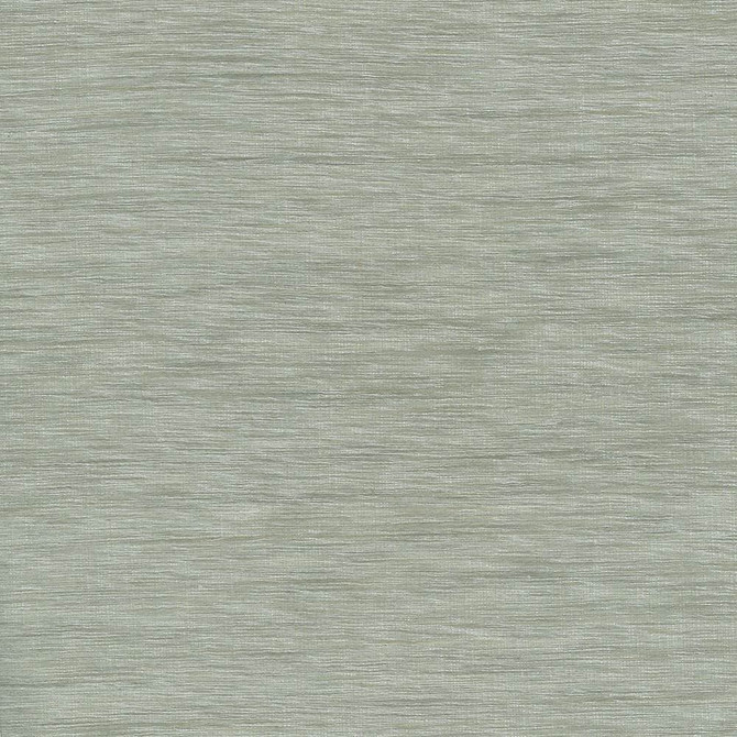 Gainsford Platinum by Kasmir Designer Fabric 5060 75% Polyester
25% Viscose
 INDIA </p><p>Repeat: Horizontal: N/A and Vertical: N/A 54 - Swanky Fabrics -