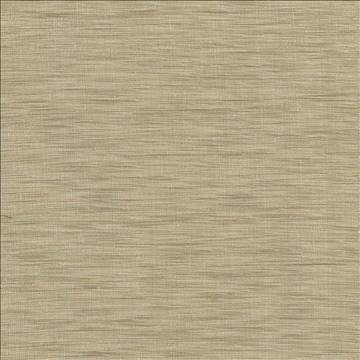 Gainsford Praline by Kasmir Designer Fabric 5060 75% Polyester 25% Viscose INDIA Not Tested H: N/A, V: N/A 54 - Swanky Fabrics - Kasmir