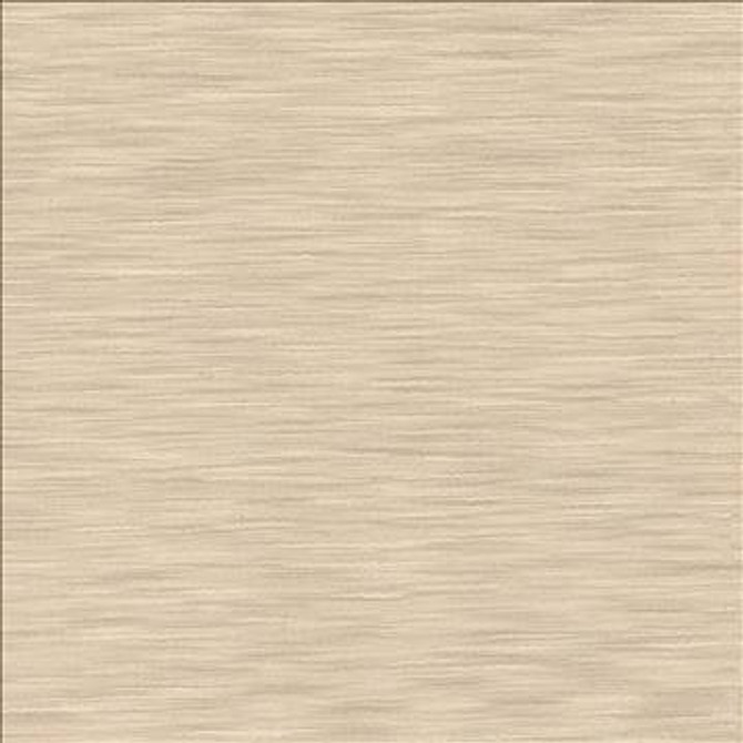 Gainsford Sandstone by Kasmir Designer Fabric 1313 75% Polyester 25% Viscose INDIA Not Tested H: N/A, V: N/A 54 - Swanky Fabrics - Kasmir