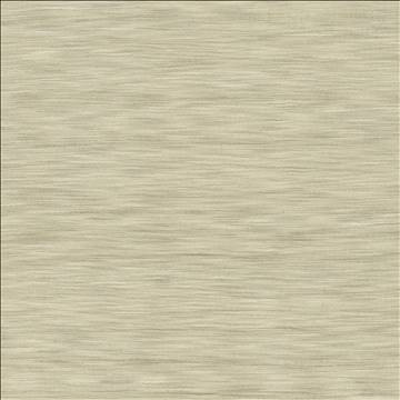 Gainsford Stone by Kasmir Designer Fabric