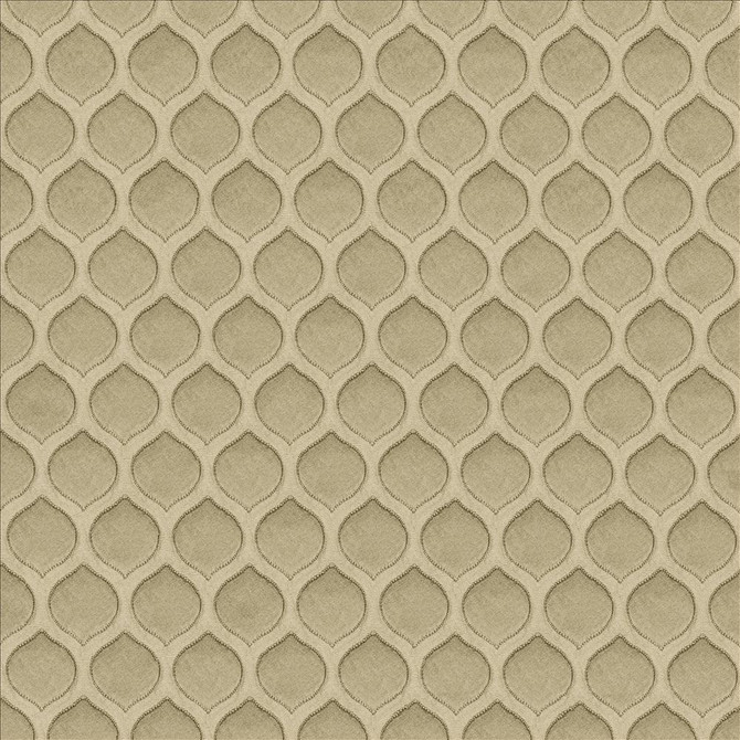 Imprint Pewter by Kasmir Designer Fabric 5119 100% Polyester
 INDIA Not Tested </p><p>Repeat: Horizontal: 1 1/8 inches and Vertical: 1 7/8 inches 54 - Swanky Fabrics -