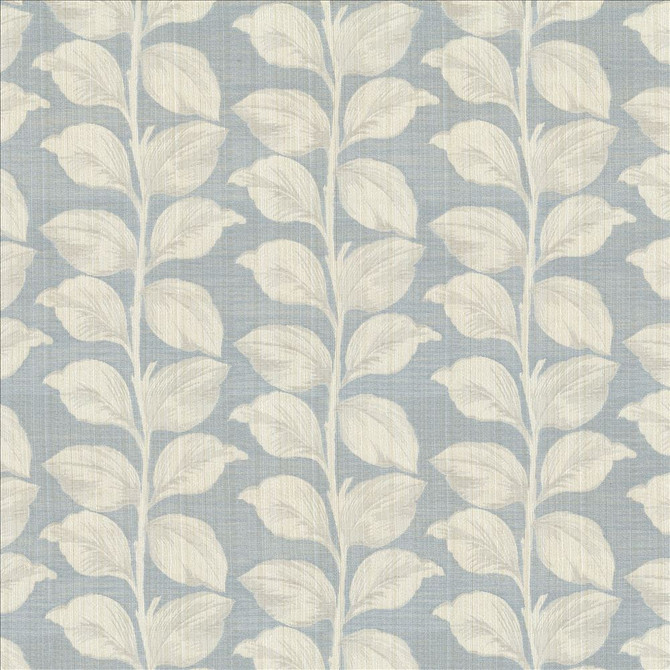 Lakeshore Serenity  by Kasmir Designer Fabric 1449 67% Polyester
33% Cotton
 INDIA 28,000 Martindale Cycles Horizontal: 13 6/8 inches and Vertical: 8 6/8 inches 53  - Swanky Fabrics -