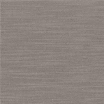 Luxe Mineral by Kasmir Designer Fabric 1447 88% Rayon 12% Polyester USA 21,000 Wyzenbeek Double Rubs H: N/A, V: N/A 54 - Swanky Fabrics - Kasmir