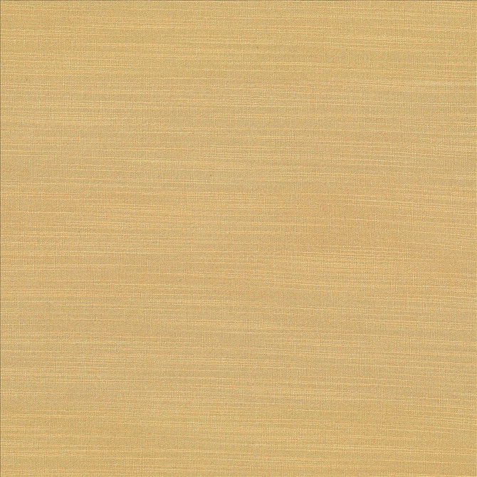 Luxe Parchment by Kasmir Designer Fabric 1447 88% Rayon 12% Polyester USA 21,000 Wyzenbeek Double Rubs Horizontal: 0 Inches and Vertical: 0 Inches 54 - Swanky Fabrics -