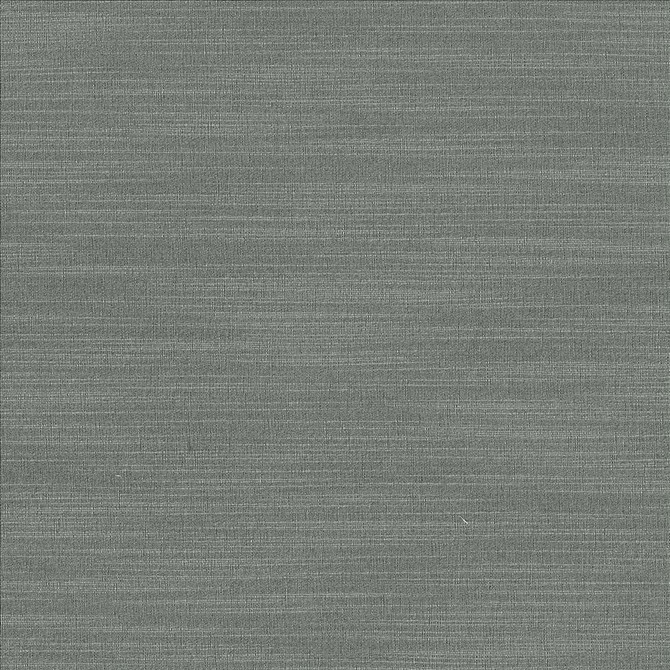 Luxe Pewter  by Kasmir Designer Fabric 1447 88% Rayon
12% Polyester
 USA 21,000 Wyzenbeek Double Rubs Horizontal: N/A and Vertical: N/A 54  - Swanky Fabrics -