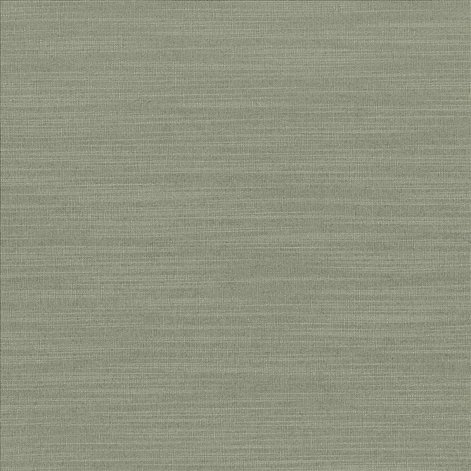 Luxe Spruce  by Kasmir Designer Fabric 1447 88% Rayon
12% Polyester
 USA 21,000 Wyzenbeek Double Rubs Horizontal: N/A and Vertical: N/A 54  - Swanky Fabrics -