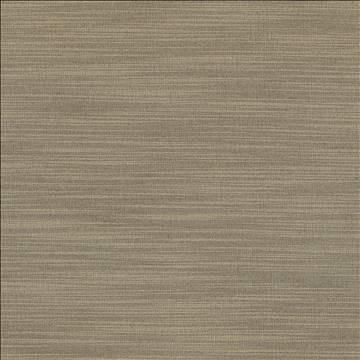 Luxe Stone by Kasmir Designer Fabric 1447 88% Rayon 12% Polyester USA 21,000 Wyzenbeek Double Rubs H: N/A, V: N/A 54 - Swanky Fabrics - Kasmir