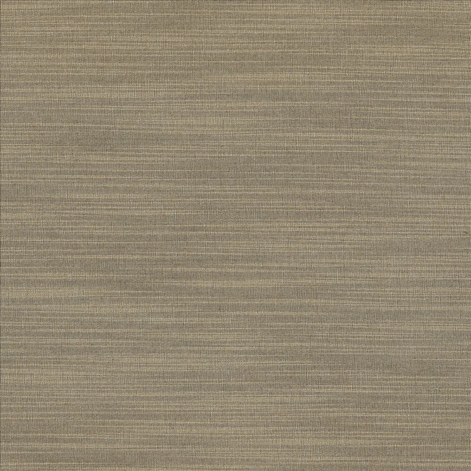 Luxe Stone  by Kasmir Designer Fabric 1447 88% Rayon
12% Polyester
 USA 21,000 Wyzenbeek Double Rubs Horizontal: N/A and Vertical: N/A 54  - Swanky Fabrics -