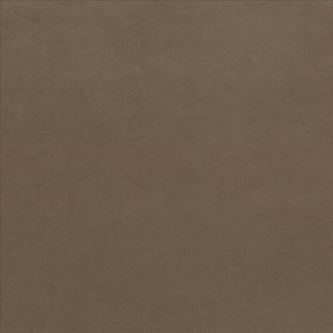 Maison Royale Driftwood by Kasmir Designer Fabric 1448 75% Polyester 25% Cotton CHINA 201,000 Wyzenbeek Double Rubs Horizontal: 0 Inches and Vertical: 0 Inches 54 - Swanky Fabrics -