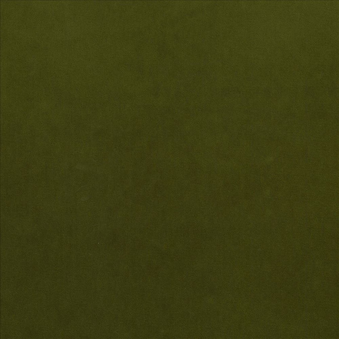 Maison Royale Forest by Kasmir Designer Fabric 1448 75% Polyester
25% Cotton
 CHINA </p><p>Repeat: Horizontal: N/A and Vertical: N/A 54 - Swanky Fabrics -