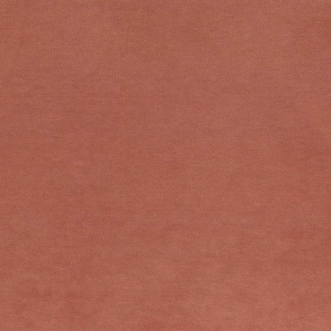 Maison Royale Nectar by Kasmir Designer Fabric 1448 75% Polyester
25% Cotton
 CHINA </p><p>Repeat: Horizontal: N/A and Vertical: N/A 54 - Swanky Fabrics -