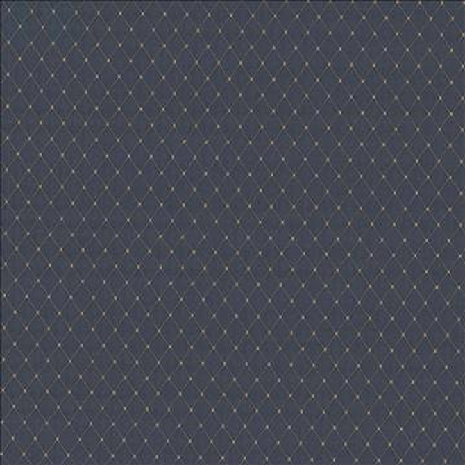 Martinez Chambray by Kasmir Designer Fabric 5088 100% Polyester CHINA 30,000 Wyzenbeek Double Rubs H: 6/8 inches, V: 1 2/8 inches 54 - 56 - Swanky Fabrics - Kasmir