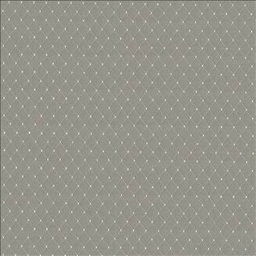 Martinez Feather by Kasmir Designer Fabric 5085 100% Polyester CHINA 30,000 Wyzenbeek Double Rubs H: 6/8 inches, V: 1 2/8 inches 54 - 56 - Swanky Fabrics - Kasmir