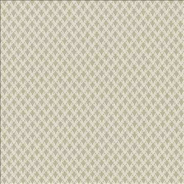 Patio 55 Shadow by Kasmir Designer Fabric