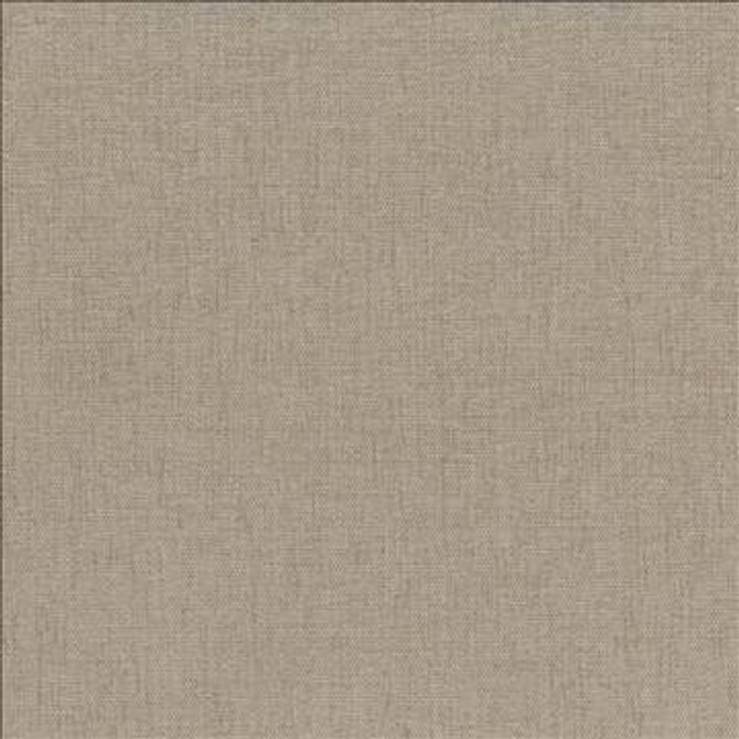 Pinnacle Barley by Kasmir Designer Fabric 1353 100% Polyester INDIA 102,000 Wyzenbeek Double Rubs H: N/A, V: N/A 54 - 55 - Swanky Fabrics - Kasmir