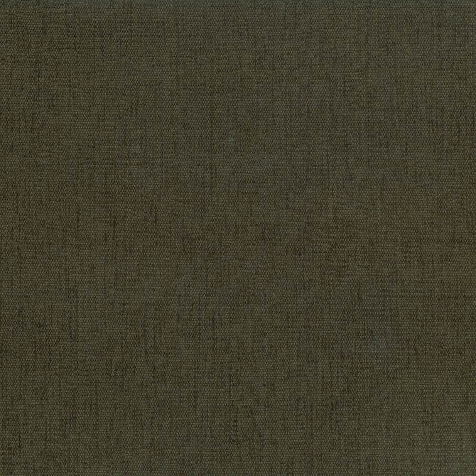 Pinnacle Basil by Kasmir Designer Fabric 1353 100% Polyester
 INDIA </p><p>Repeat: Horizontal: N/A and Vertical: N/A 54 - 55 - Swanky Fabrics -