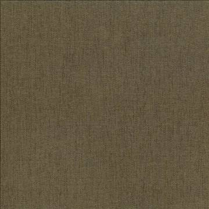 Pinnacle Cafe by Kasmir Designer Fabric 5046 100% Polyester INDIA 102,000 Wyzenbeek Double Rubs H: N/A, V: N/A 54 - 55 - Swanky Fabrics - Kasmir
