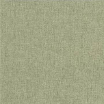 Pinnacle Celery by Kasmir Designer Fabric 5046 100% Polyester INDIA 102,000 Wyzenbeek Double Rubs H: N/A, V: N/A 54 - 55 - Swanky Fabrics - Kasmir